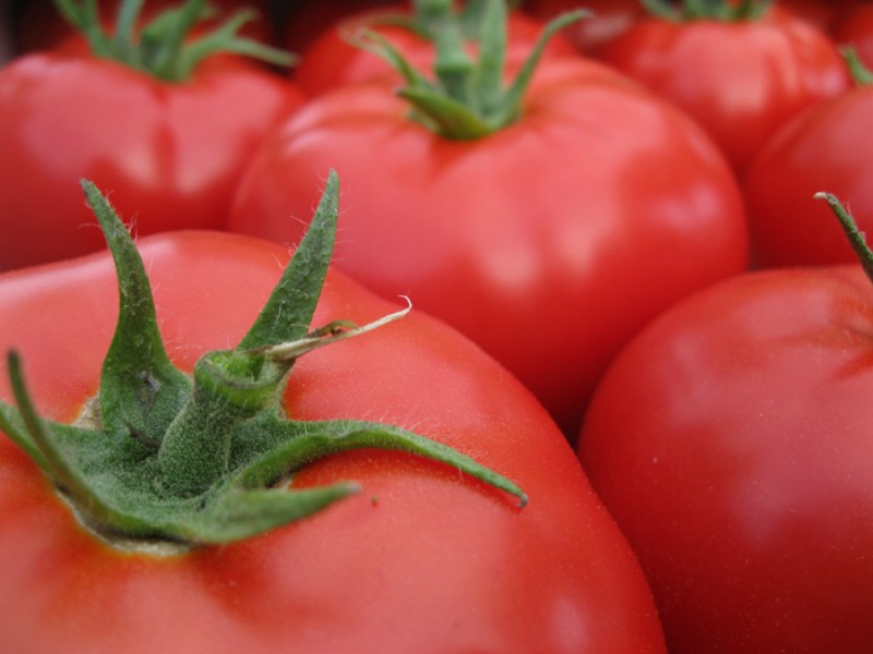 Защо трябва да ядем домати всеки ден