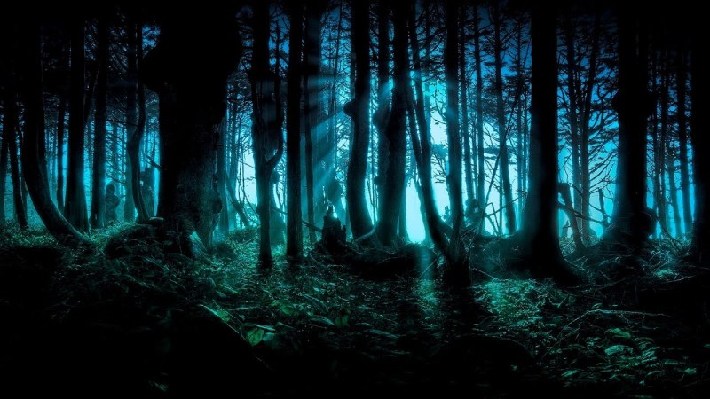 Зловещо: Откриха възрастна жена, прекарала повече от 2 дни в гората