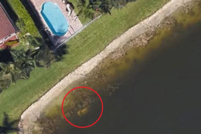 Зловеща находка: Мъж откри останки от труп през сателитни снимки от Google