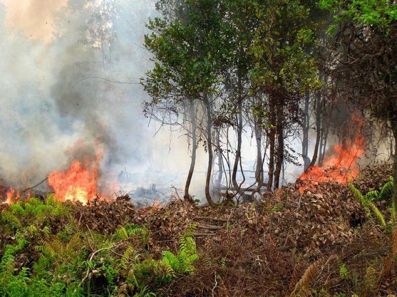 Пожар гори близо Сухото езеро в Рила