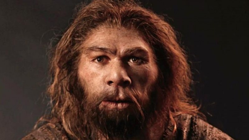 Неандерталците изчезнали заради... ушни инфекции