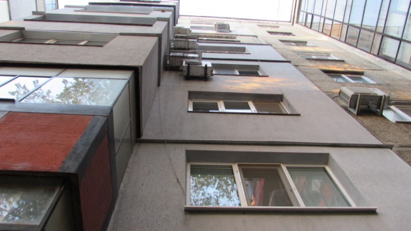34-годишен от Пловдив уби котка при скандал, хвърли я от 6-ия етаж