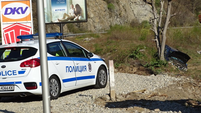 Двама молдовски граждани загинаха след катастрофа в дърво