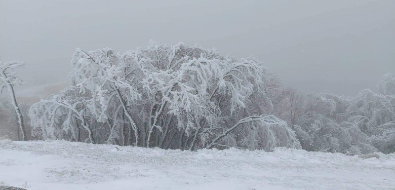 Сняг забръска… 2 сантиметра на Шипка, снегорините сноват СНИМКИ