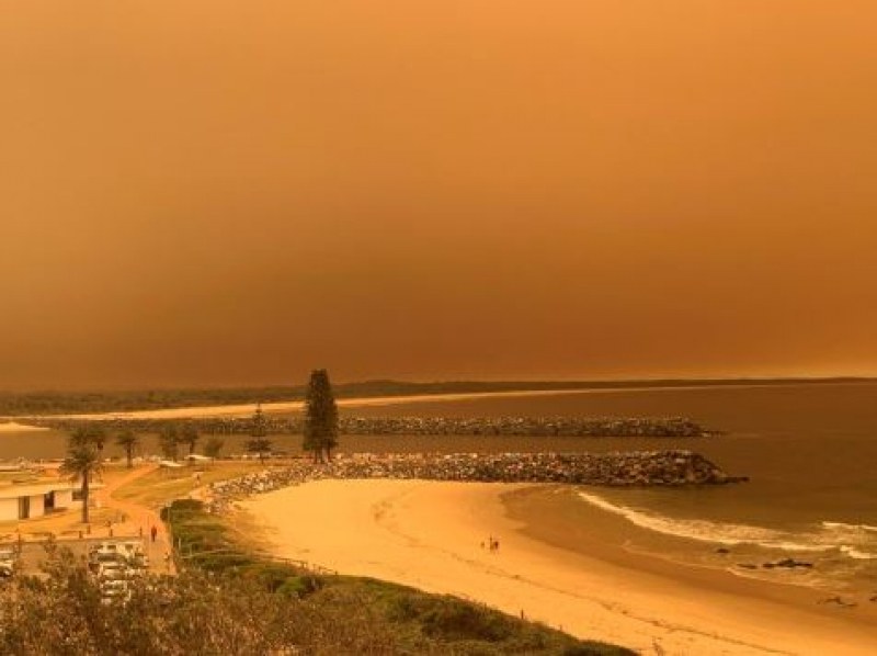 Пожари бушуват в Австралия! 90 огнища са обхванали десетки хиляди хектари