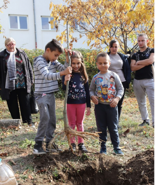 Зелена инициатива: Малки и големи в Брестовица с лопати 