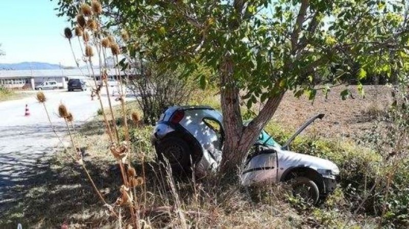 Пиян шофьор опита да финтира катаджии. Гонка и… нацели дърво