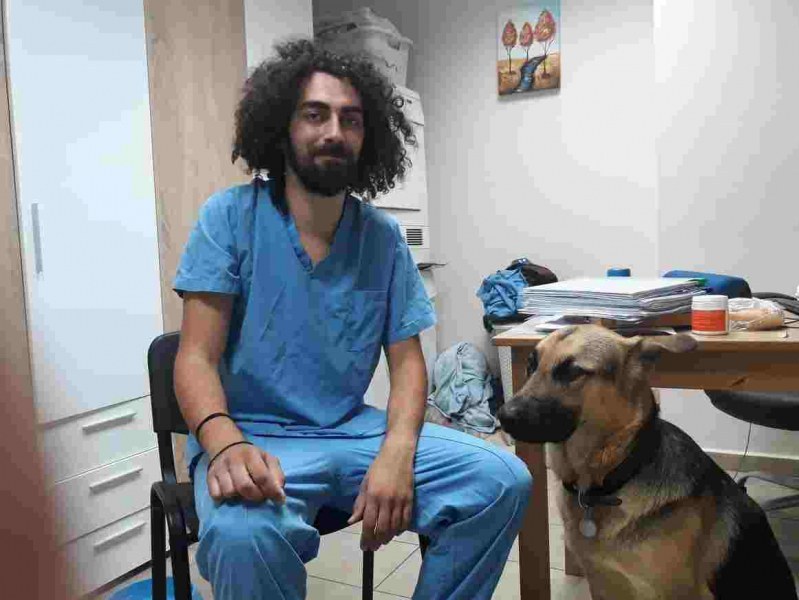 Грижа: Пловдивски ветеринари кастрират безплатно бездомни котки