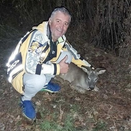 Да имаш сърце! Мъж спаси малко еленче, нападнато от глутница кучета