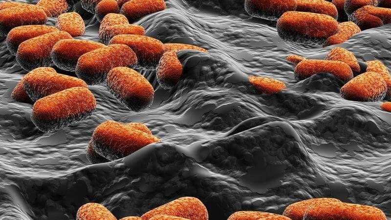 Тревожно! Откриха в 5 български болници бактерии, за които няма лечение с никакъв антибиотик