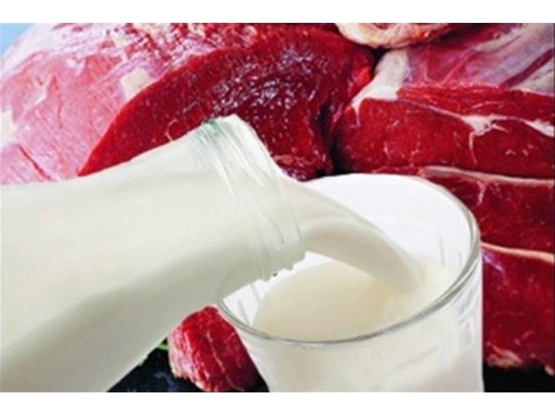 Онколози: В млякото и месото може да присъства микроб, причиняващ рак!