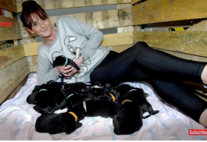Куче роди 21 палета! Собственичката спи с тях  ВИДЕО