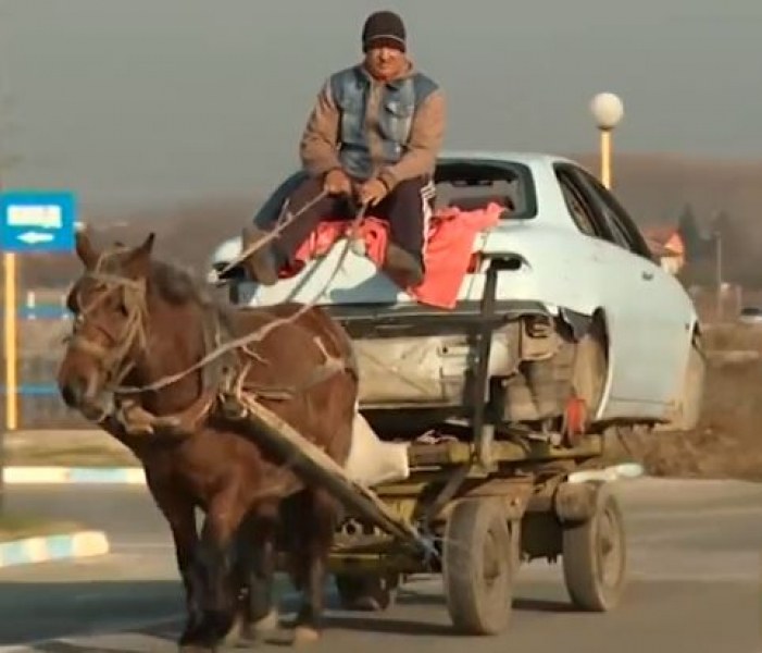 Грозно: Бременна кобила тегли каруца, натоварена с кола за скраб! ВИДЕО