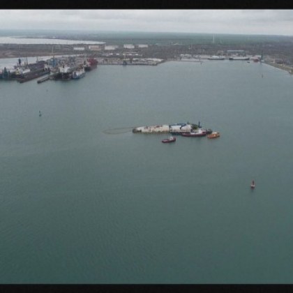 Екокатастрофа в Констанца - хиляди овце се разлагат на дъното на Черно море