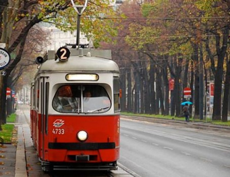 16-годишен българин размахвал меч в трамвай във Виена, арестуваха го