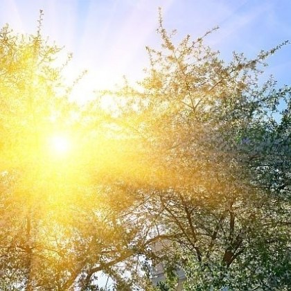 Времето днес: Валежите спират, вятърът намалява!