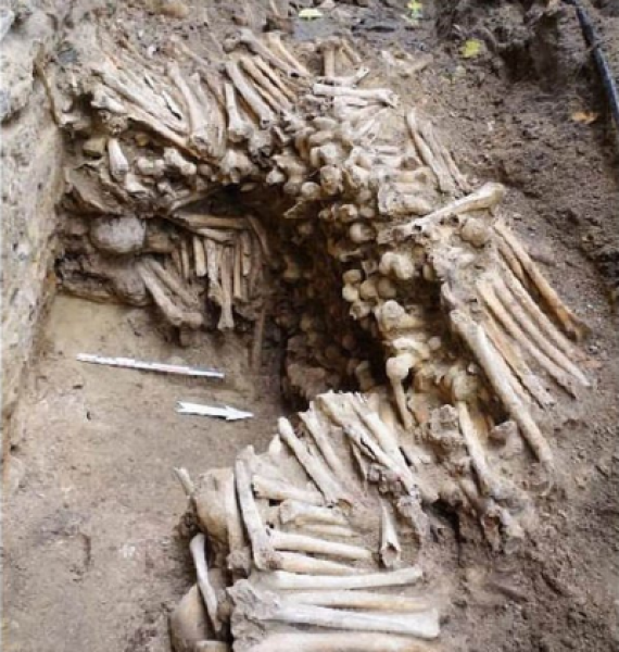 Зловещо: Откриха стена от човешки кости в Белгия
