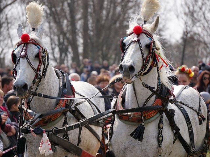 Бързи коне и слънчево време на Конския Великден!