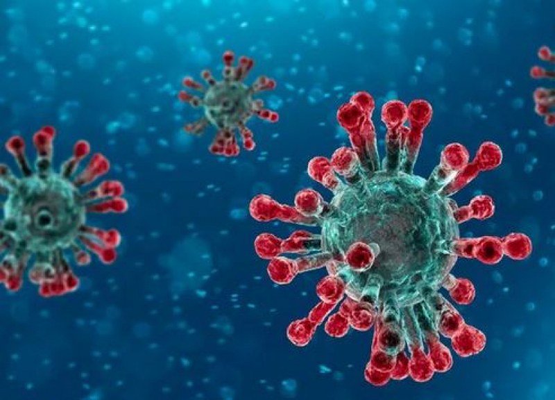 Митове за коронавируса - не вярвайте на всичко