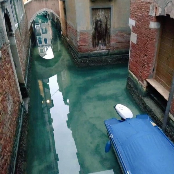 След карантината: Водата във Венеция не е била толкова чиста  ВИДЕО