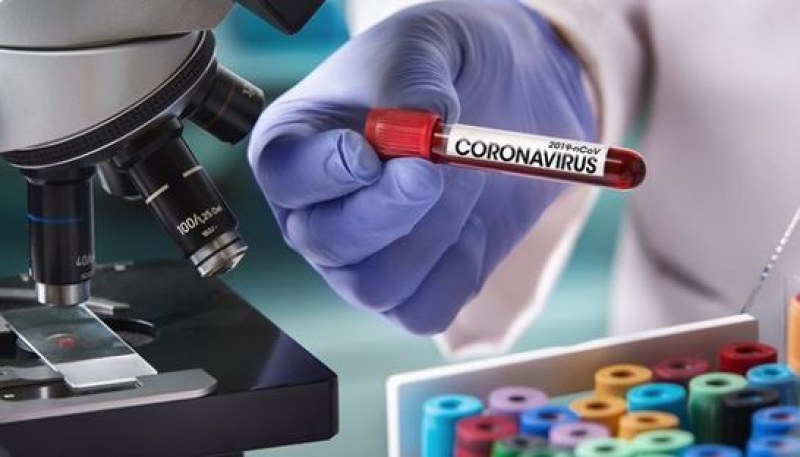 Столетник пребори коронавируса