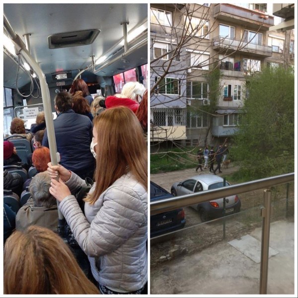 Така разхождат едно куче в Пловдив! А как се возят в автобус? СНИМКИ
