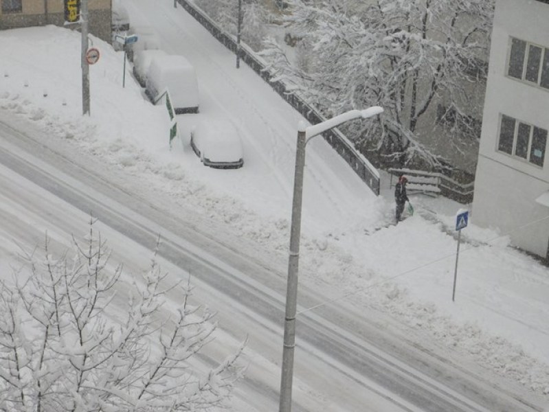 Села останаха без ток в Родопите, натрупа 40 см сняг