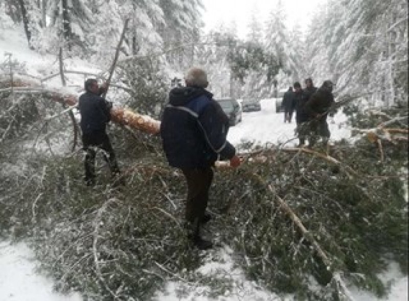 Бедствено положение заради снега в наша община СНИМКИ