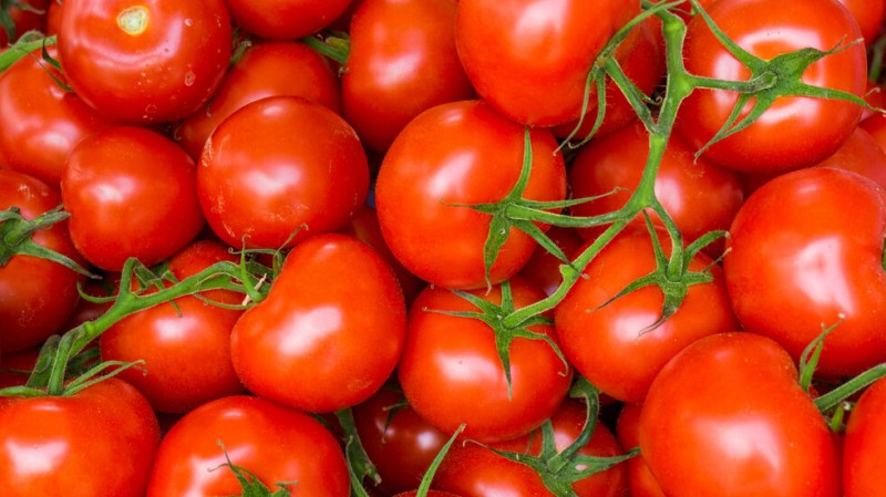 БАБХ унищожава 5 тона домати от Турция!