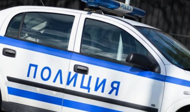 Тя го нае да нацепи дървата, той... я обра!