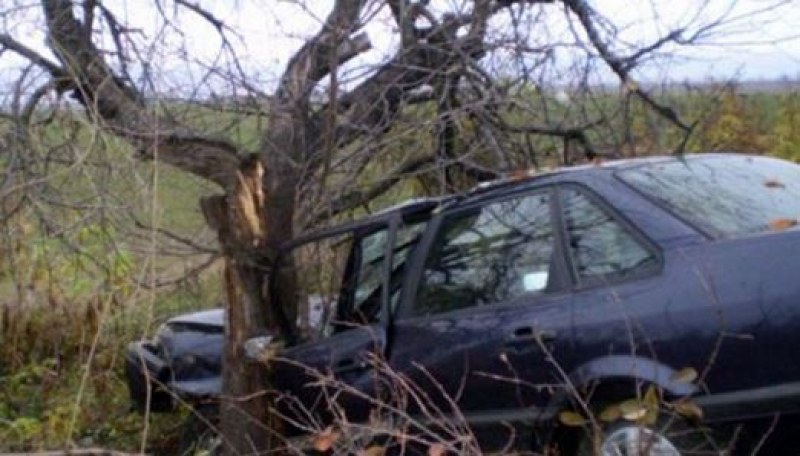 Шофьор се блъсна в дърво и загина намясто