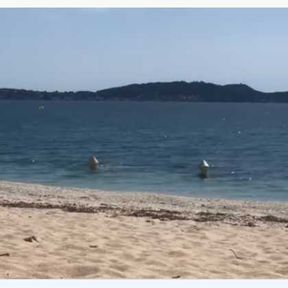 Шамандури в морето се оказаха двама мъже под прикритие ВИДЕО
