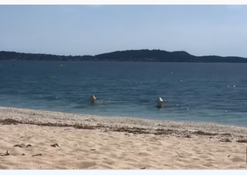 Шамандури в морето се оказаха двама мъже под прикритие ВИДЕО