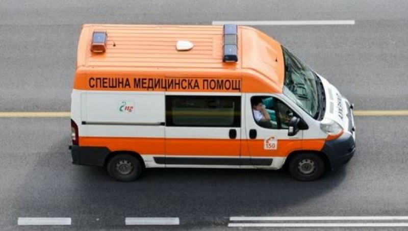 Шофьор на 