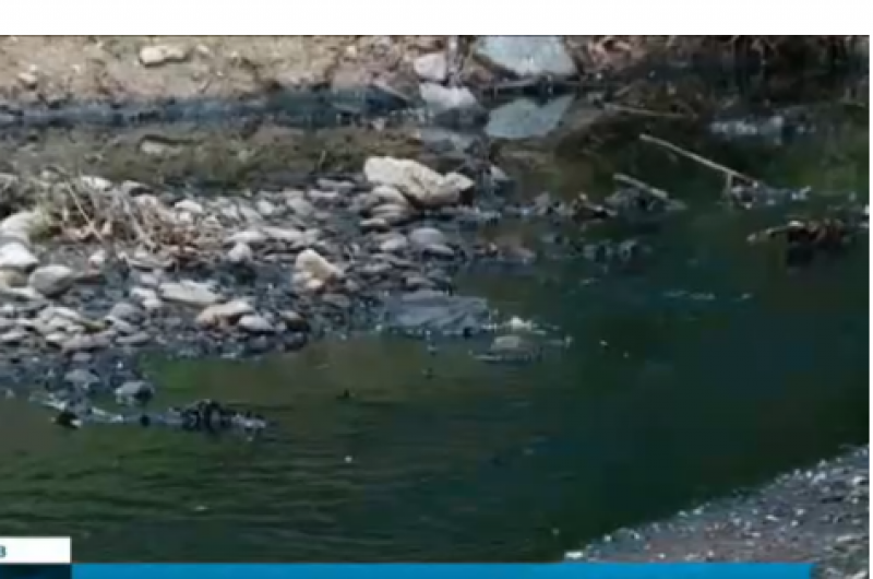 Черна вода потече в две реки в Пловдивско, рибата измря