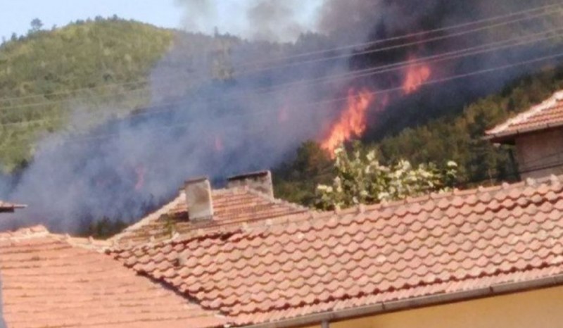 Голям пожар погълна три къщи, има пострадала