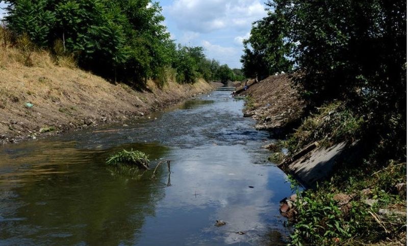 Запечатаха розоварна, замърсила и избила рибата в две реки край Пловдив