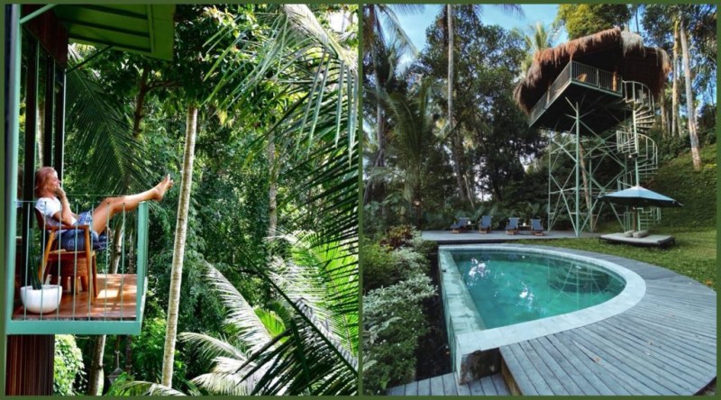Уникална къща на дърво в Бали за 23 евро на нощ