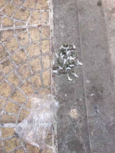 Уличният дилър Зеки падна в клопката на полицията в Столипиново