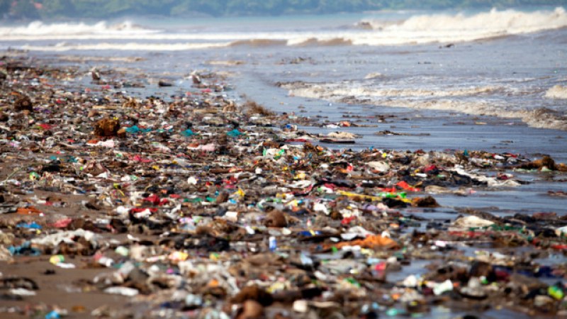Острови от пластмаса се появиха в Черно море! - glasnews.bg