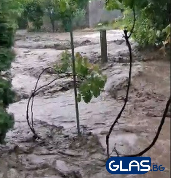 Страшно бедствие! Порой и кал завлякоха село до Плевен ВИДЕО