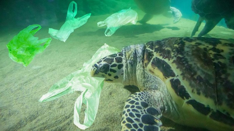 Водят ли до ново замърсяване с пластмаса защитните мерки по време на пандемията