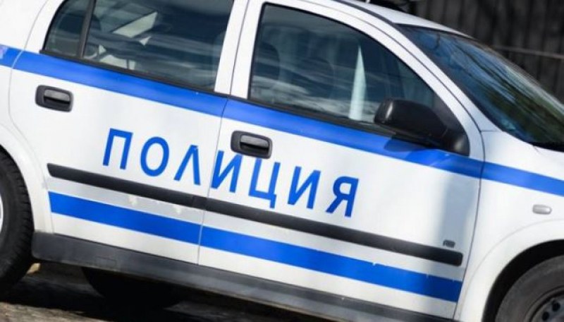 Възрастна жена отрови кучето на съседката си!