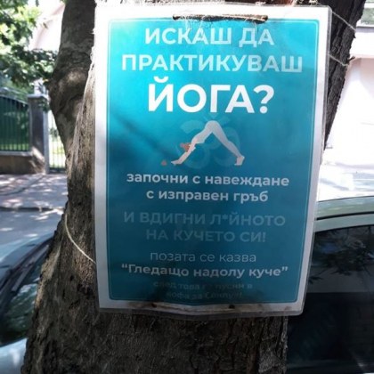 Започни с навеждане с изправен гръб и вдигни ла*ното на кучето си!