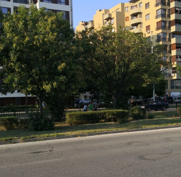 Опасна игра в Пловдив! Деца се гаврят с шофьори и излизат рязко на пътя!  СНИМКИ