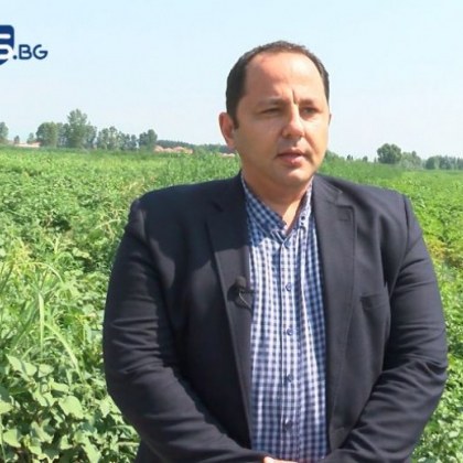 Милиони потичат към картофопроизводители, овощари... ВИДЕО