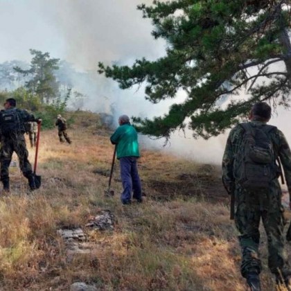 Военни гасят мощния пожар над село Дълбоки СНИМКИ
