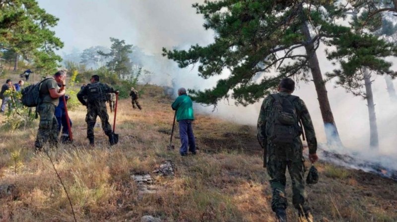 Военни гасят мощния пожар над село Дълбоки СНИМКИ