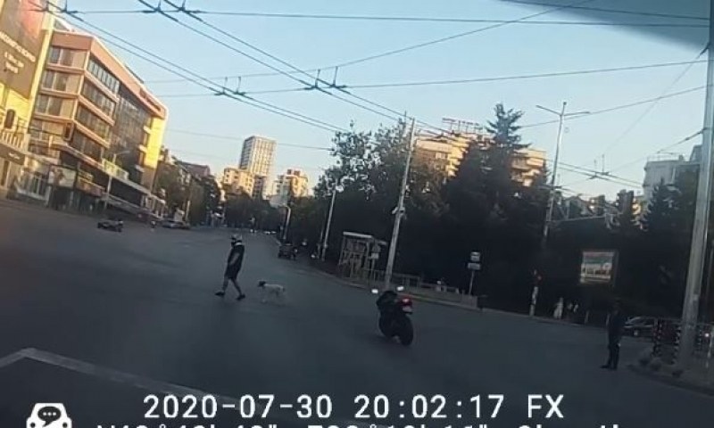 Ошашавено куче на кръстовище и... Моторист в нужда се познава!