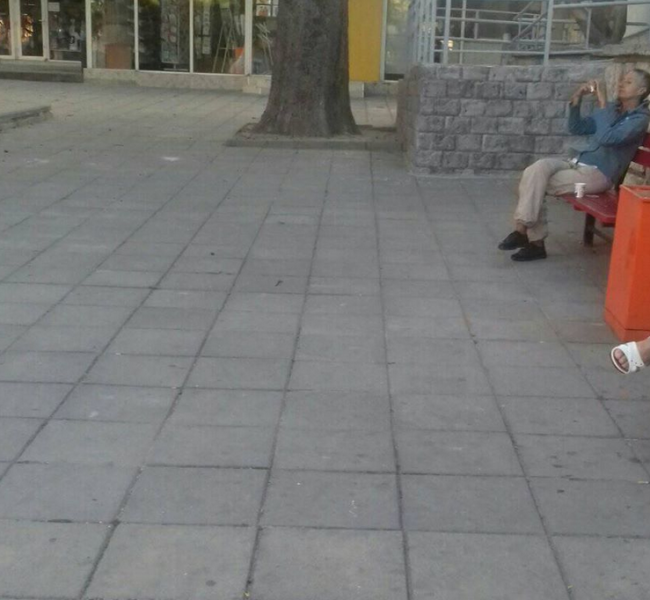 Поредно насилие над животни! Този път е жена, с тръба!